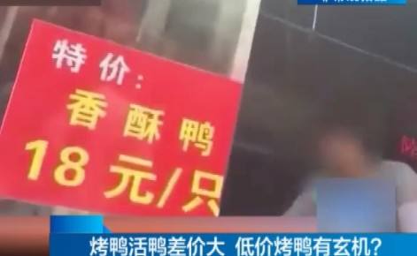 ʳƷ���飺Ԭ¡ƽ�ŶӺ�ˮ������ 18Ԫ��ѼƷ�ʿ���